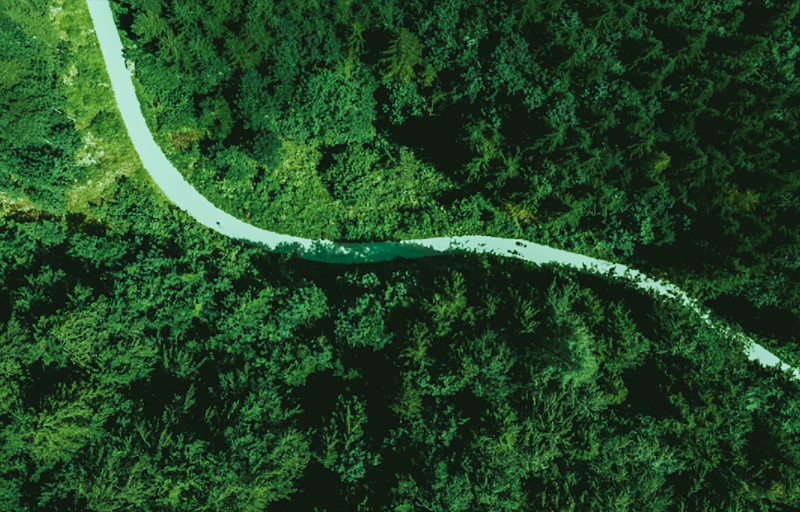 担责于身，推动绿色发展