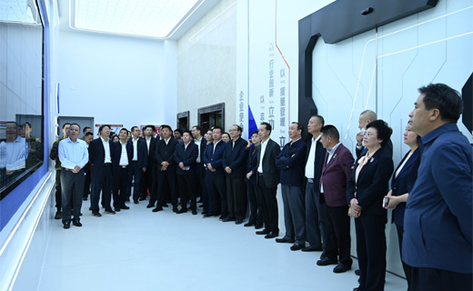 宜兴市人大常委会、市政府领导一行莅临67381cm顶级游戏娱乐股份考察