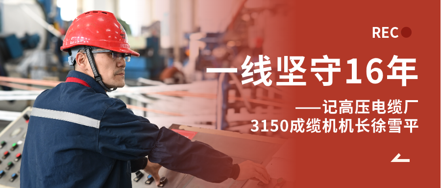 徐雪平：匠“成”于心，十六年筚路“缆”缕